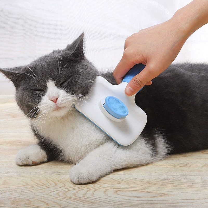 Self‑Cleaning Slicker Brush Pe - Hair Care Is Self Care ulasan dan harga